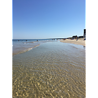 Virginia beach August king tide image